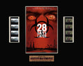 28 Days Later (2002) - Unframed double film cell presentation