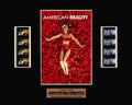 American Beauty (1999) - Unframed double film cell presentation