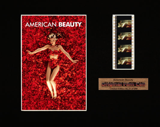 American Beauty (1999) - Unframed single film cell picture