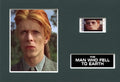 The Man Who Fell to Earth David Bowie (a) - Unframed Single Cell Collectable