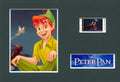 Peter Pan - Unframed Single Cell Collectable