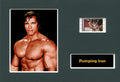 Pumping Iron (b) - Unframed Single Cell Collectable